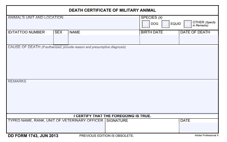 Download dd 1743 Form