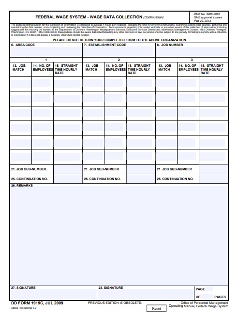 Download dd 1919C Form