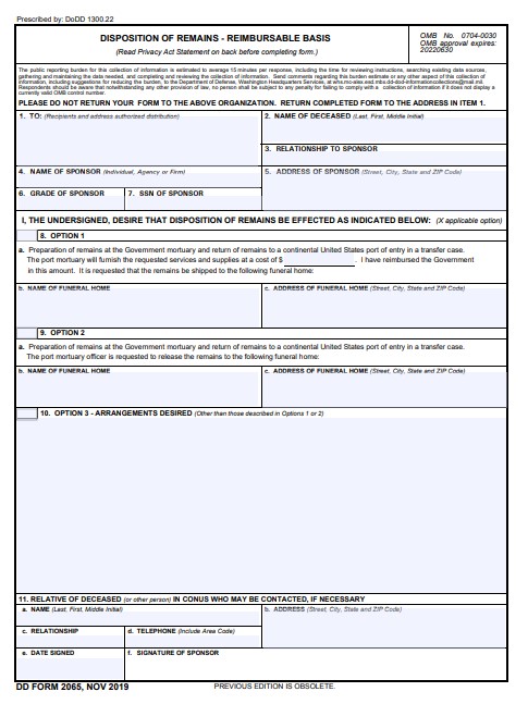 Download dd 2065 Form