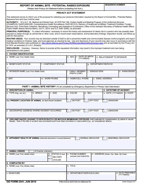 Download dd 2341 Form